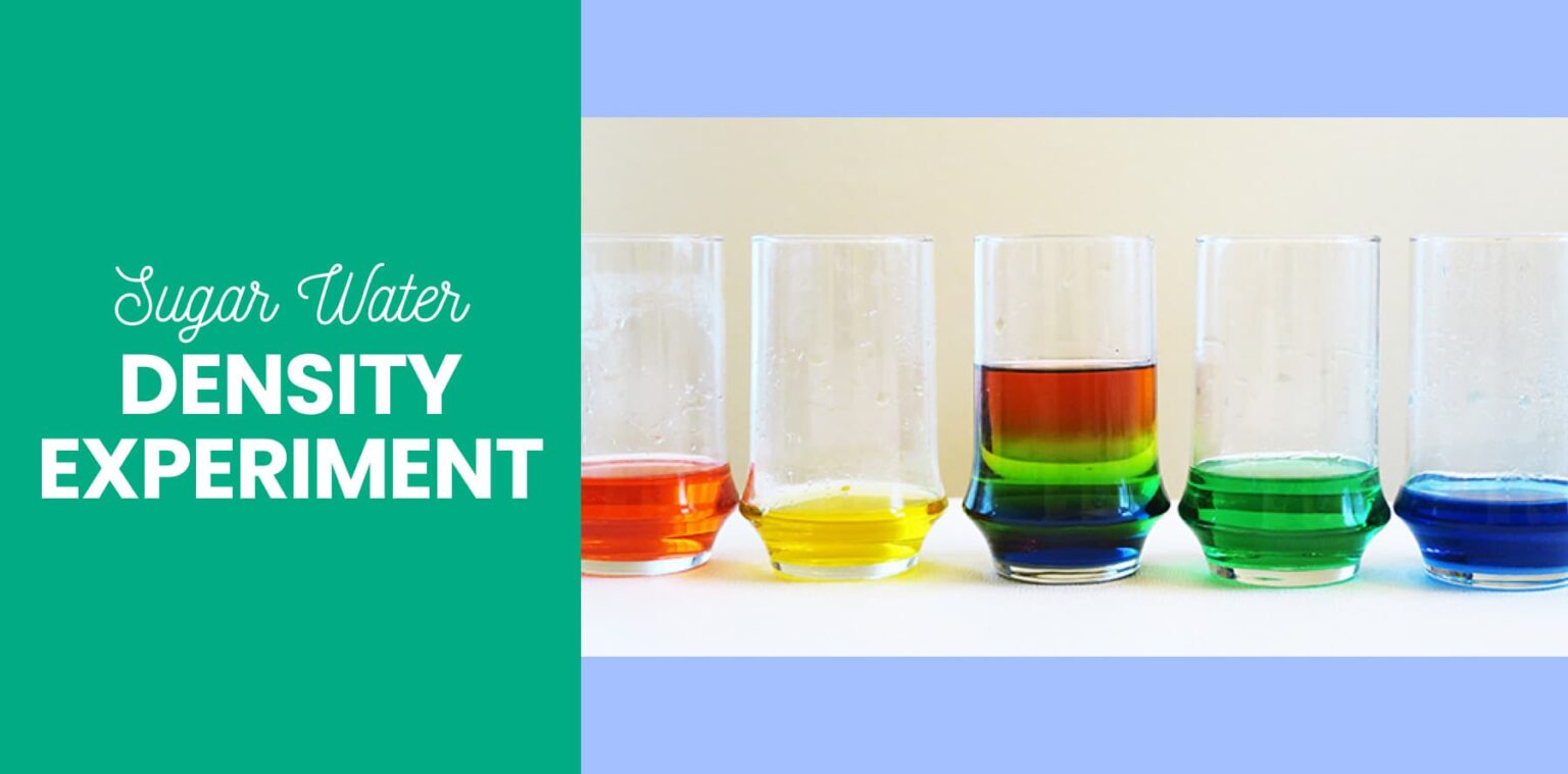 Sugar Water Density Experiment | Sugar Experiments | Little Passports