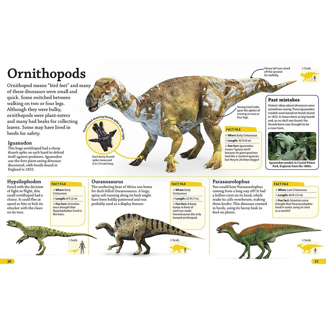 DKfindout! Dinosaurs - Little Passports