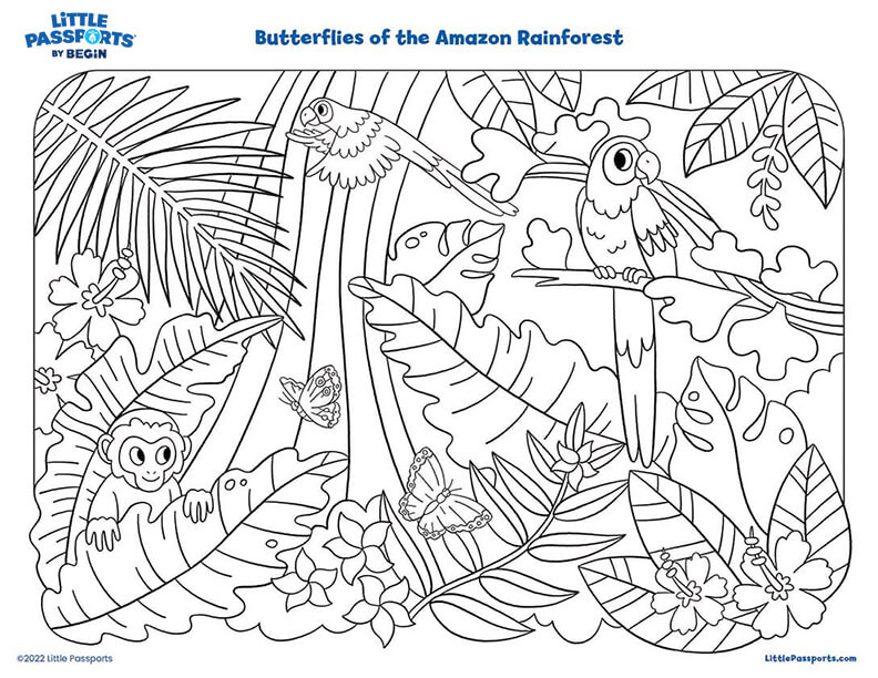 rainforest background coloring pages