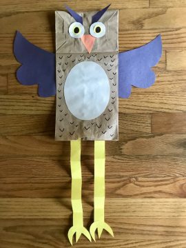 Owl Legs Are a Hoot! - Owl Facts from Little Passports
