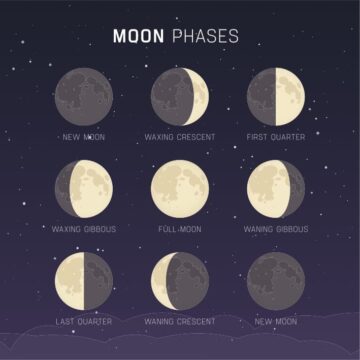 Fly Me to the Moon! How Many Moon Phases Are There? - Little Passports