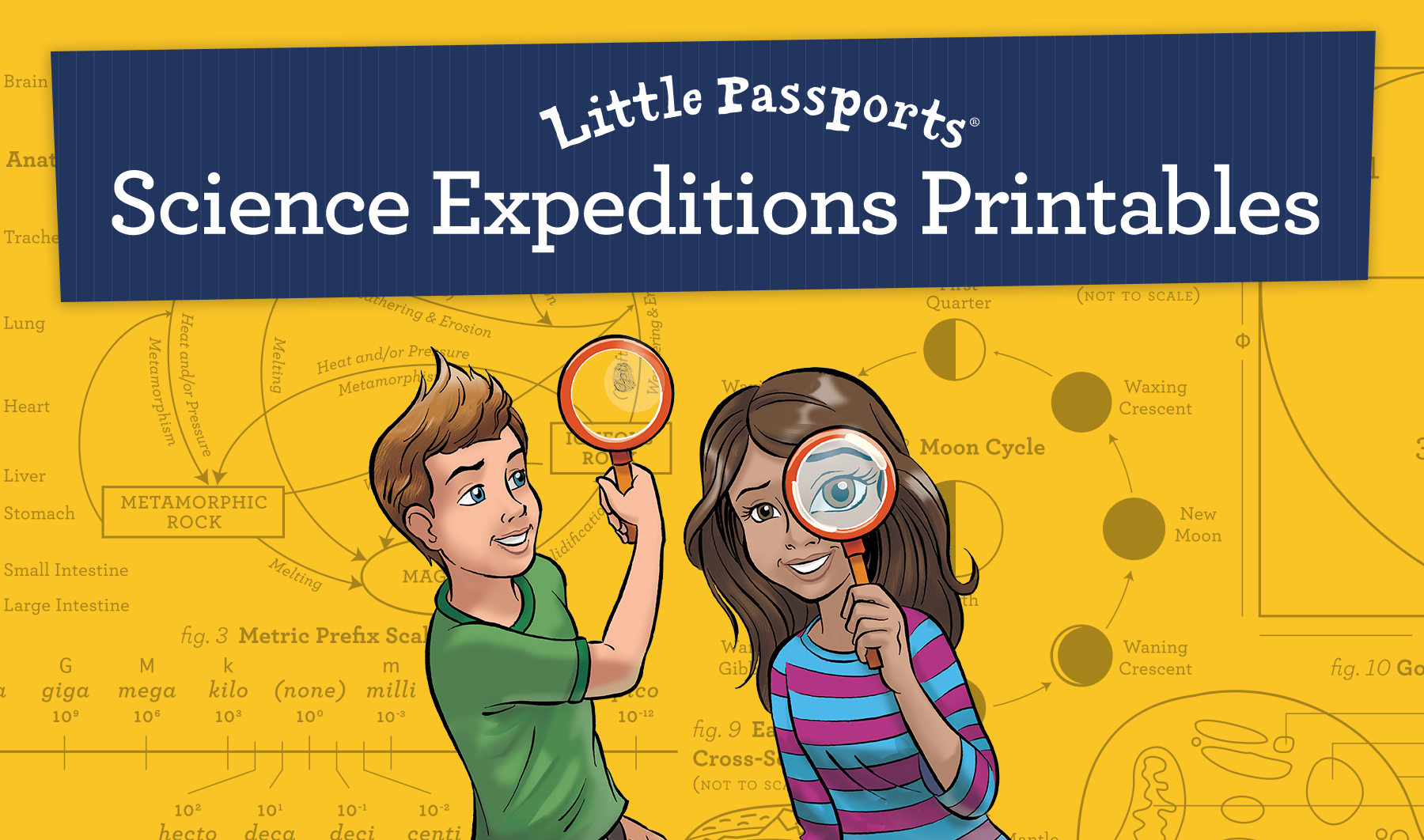 Psychology Science Fair Project: Do People Remember Better in Color? -  Little Passports