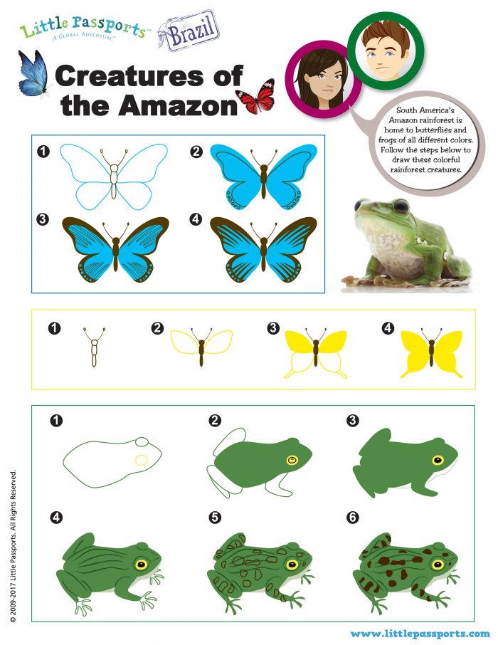 Brazil Printable Drawing the Amazon